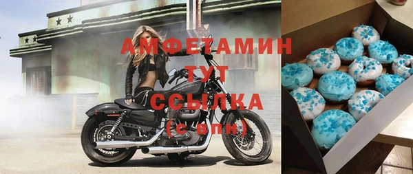 прущий лед Богданович