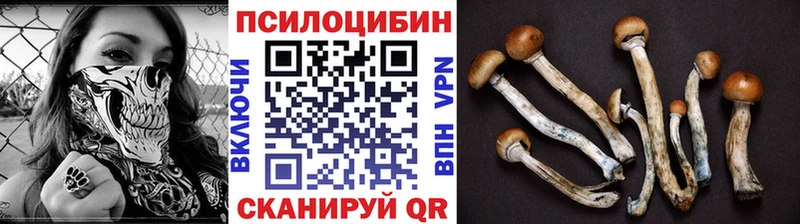 Купить где  Ялуторовск  Псилоцибиновые грибы Psilocybe 